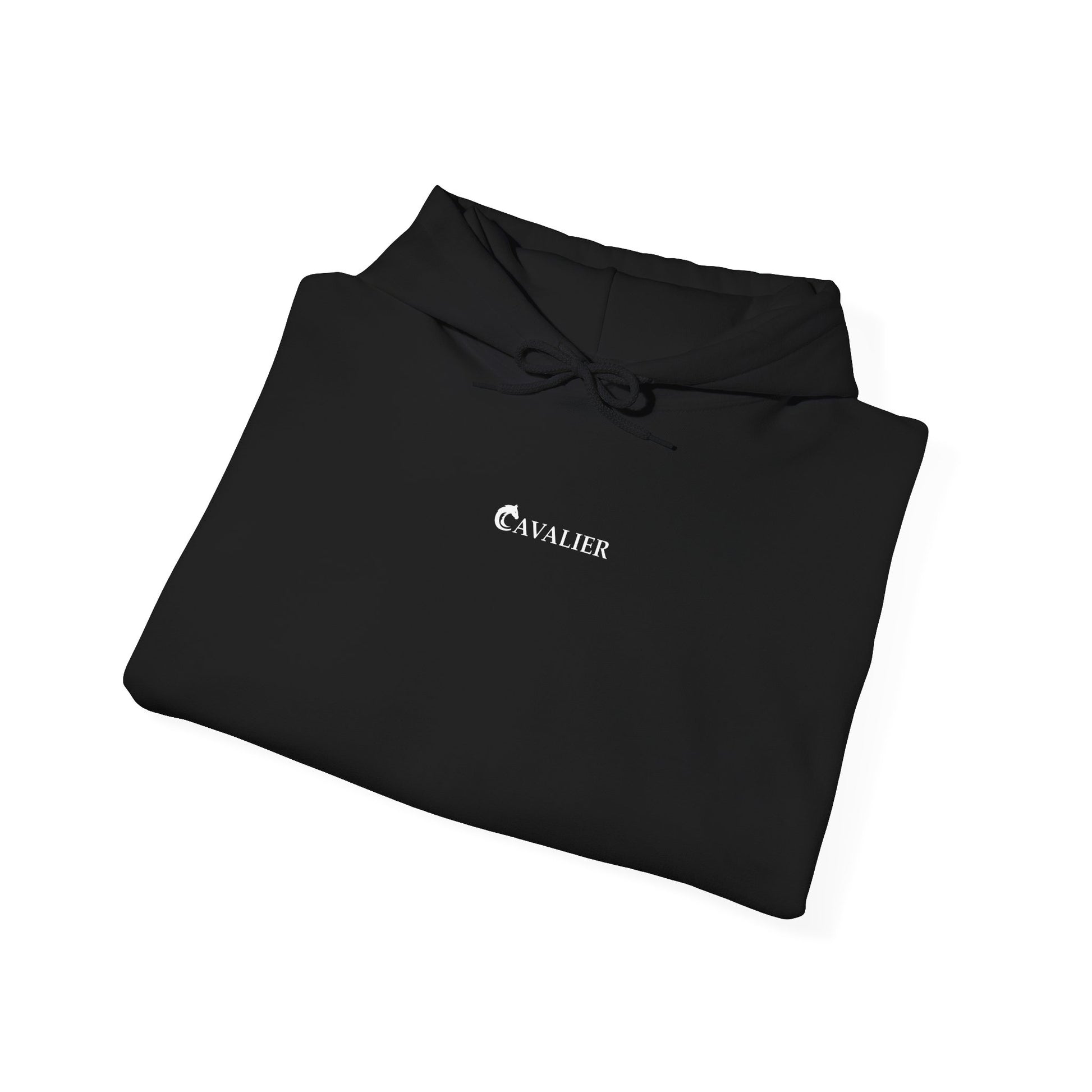 Sports Hoodie - CAVALIER SPORTS Ride Your Destiny Design 002