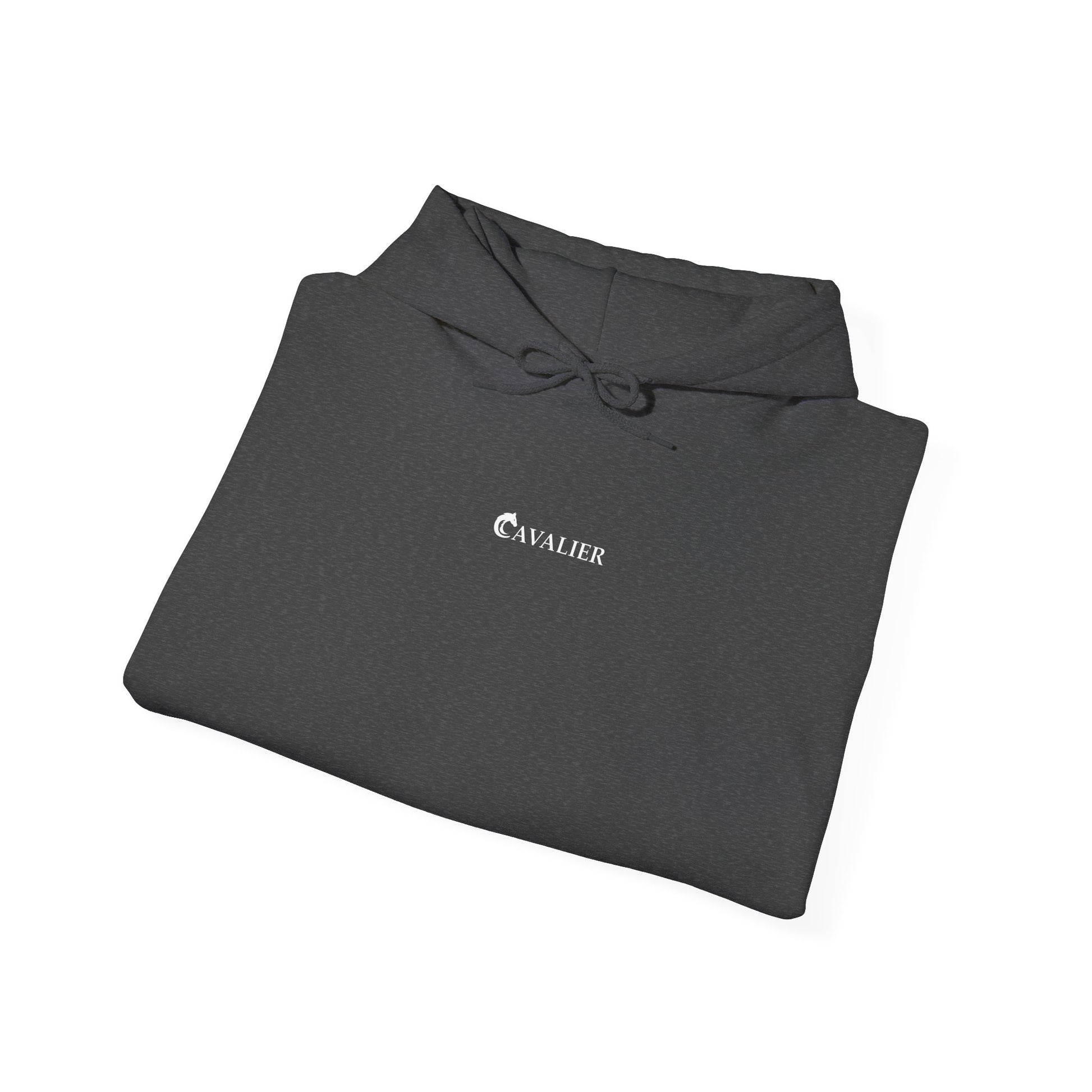 Sports Hoodie - CAVALIER SPORTS Ride Your Destiny Design 002