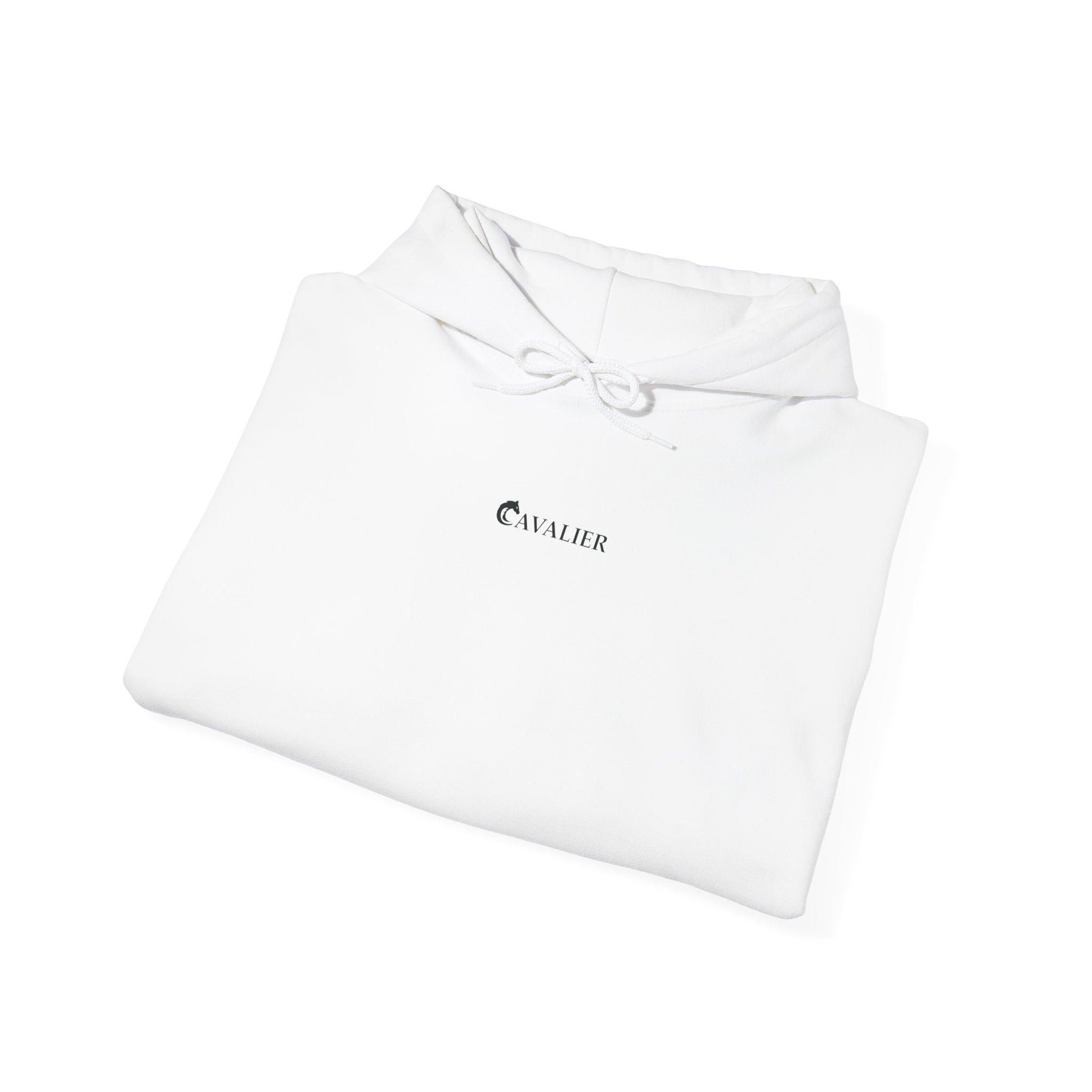 Sports Hoodie - CAVALIER SPORTS Ride Your Destiny Design 002