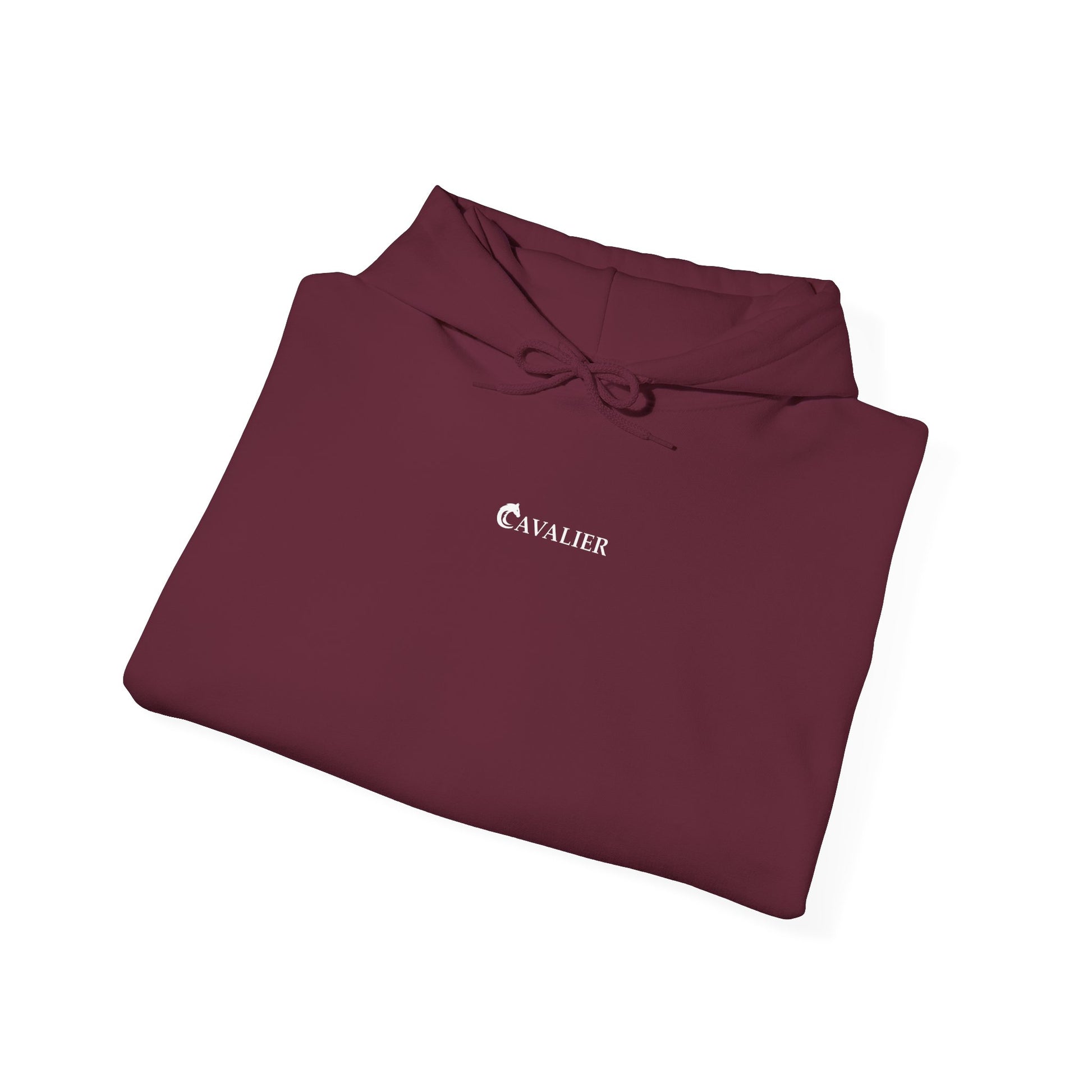 Sports Hoodie - CAVALIER SPORTS Ride Your Destiny Design 002
