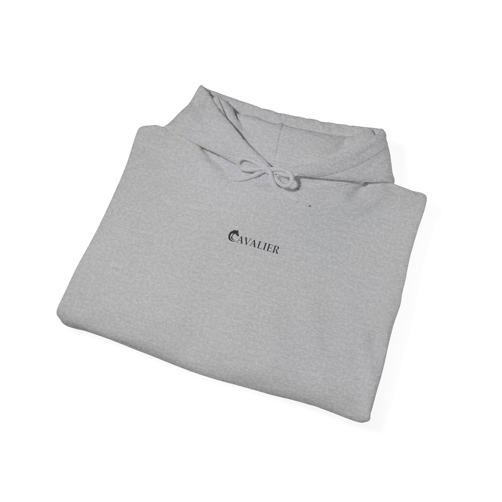 Sports Hoodie - CAVALIER SPORTS Ride Your Destiny Design 002