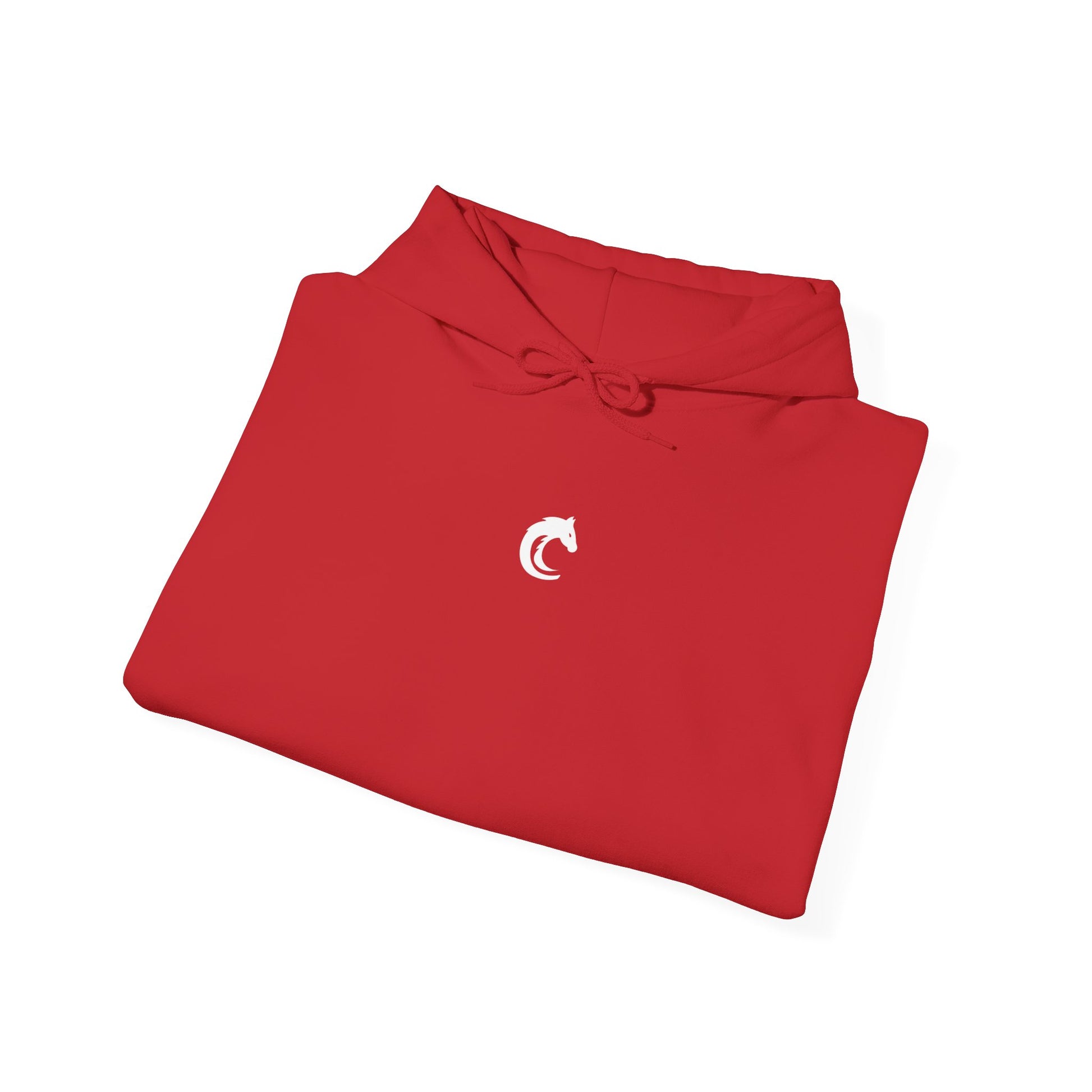 CAVALIER Unisex Pullover Hoodie | CAVALIER SPORTS ® 2024