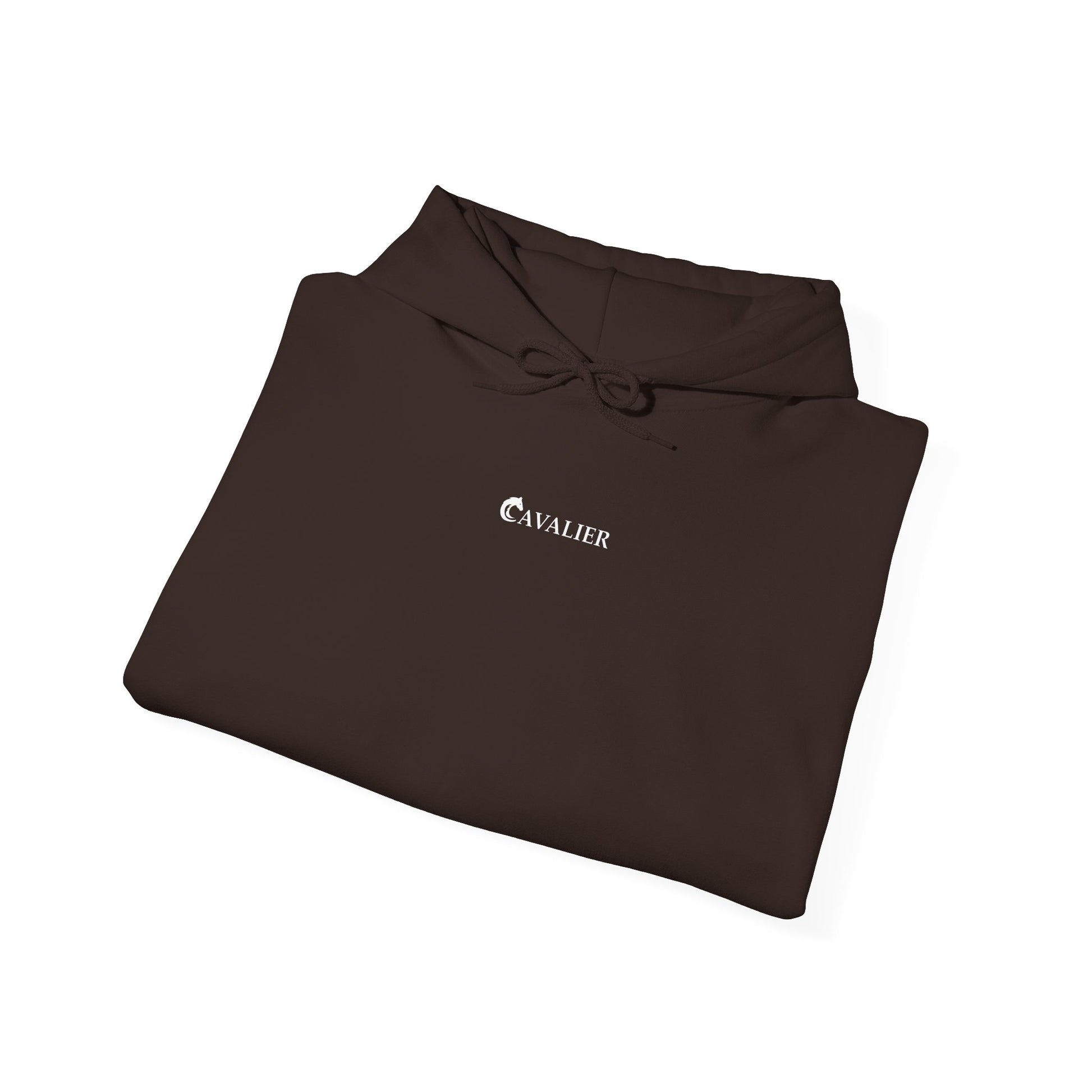 Sports Hoodie - CAVALIER SPORTS Ride Your Destiny Design 002