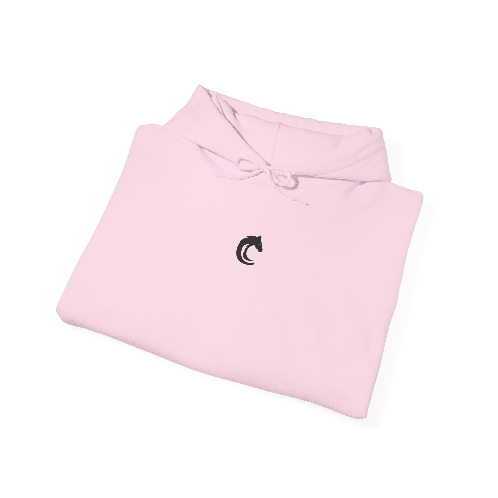 CAVALIER Unisex Pullover Hoodie | CAVALIER SPORTS ® 2024