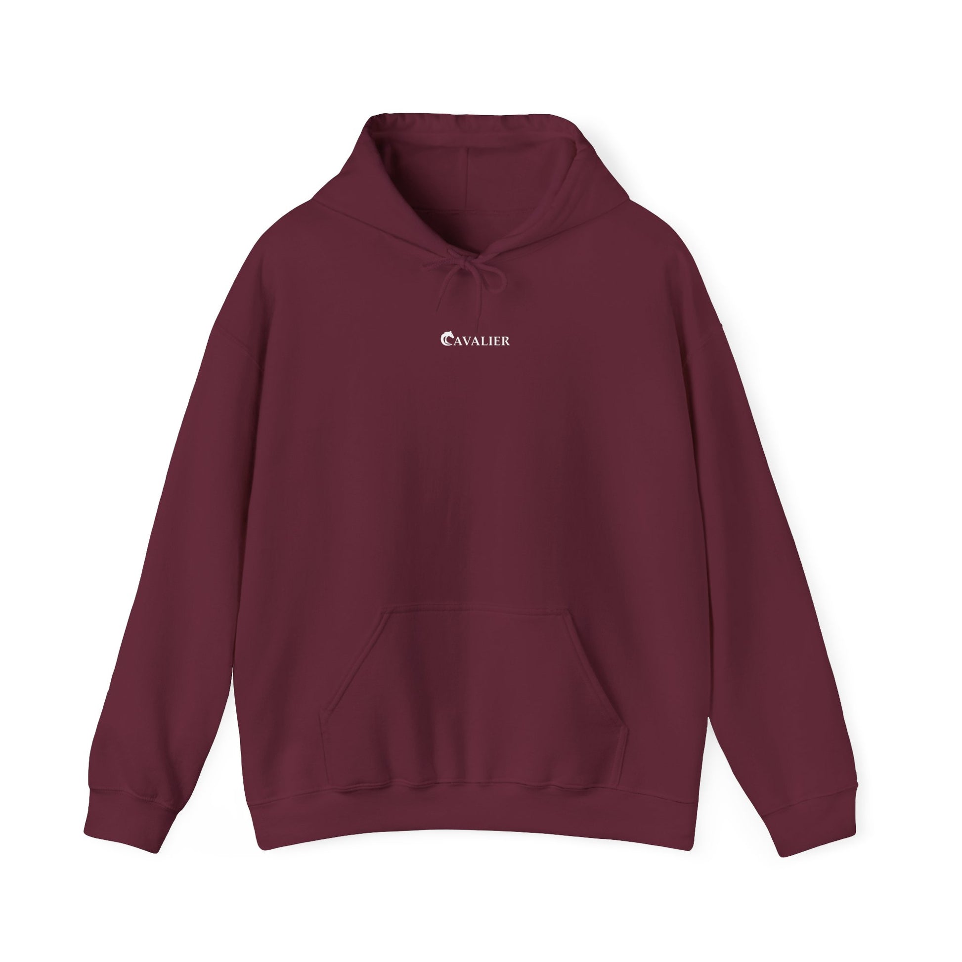 Sports Hoodie - CAVALIER SPORTS Ride Your Destiny Design 002